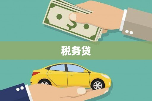 瓮安税务贷