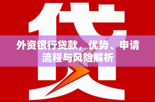 瓮安外资银行贷款，优势、申请流程与风险解析