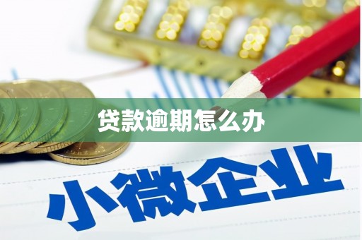 瓮安贷款逾期怎么办