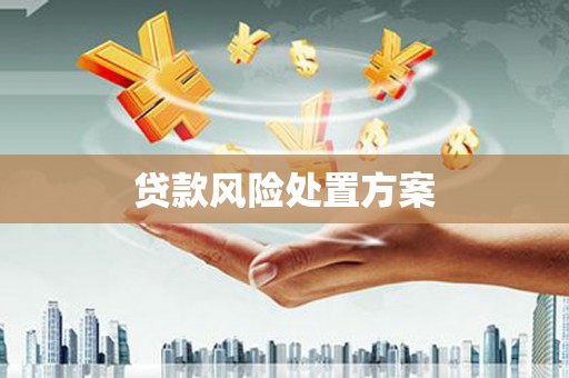 瓮安贷款风险处置方案