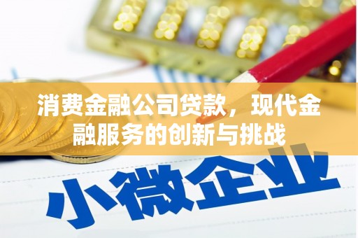 瓮安消费金融公司贷款，现代金融服务的创新与挑战