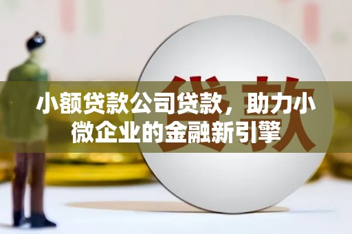 瓮安小额贷款公司贷款，助力小微企业的金融新引擎