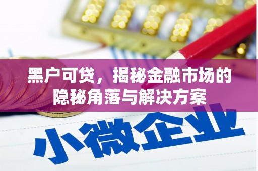瓮安黑户可贷，揭秘金融市场的隐秘角落与解决方案