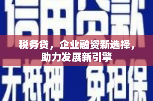 瓮安税务贷，企业融资新选择，助力发展新引擎