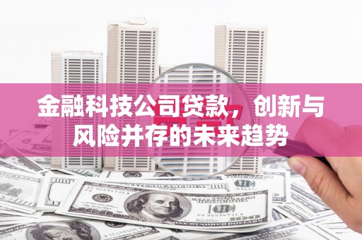 瓮安金融科技公司贷款，创新与风险并存的未来趋势
