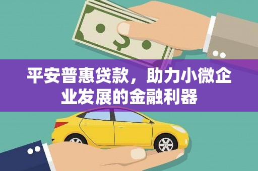 瓮安平安普惠贷款，助力小微企业发展的金融利器