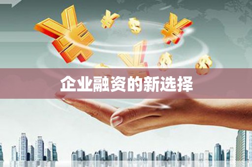 瓮安企业融资的新选择