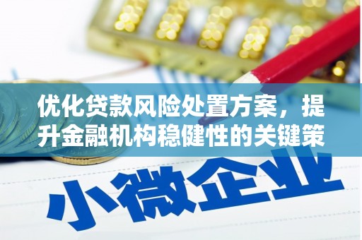 瓮安优化贷款风险处置方案，提升金融机构稳健性的关键策略