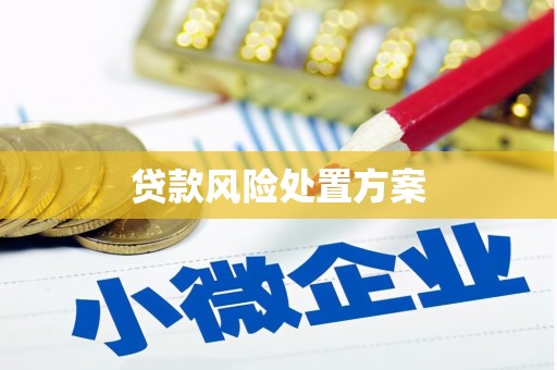瓮安贷款风险处置方案