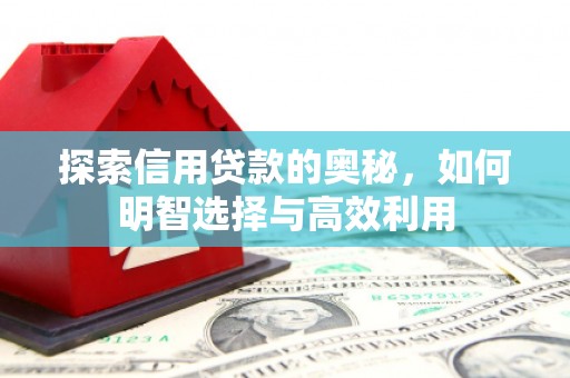 瓮安探索信用贷款的奥秘，如何明智选择与高效利用