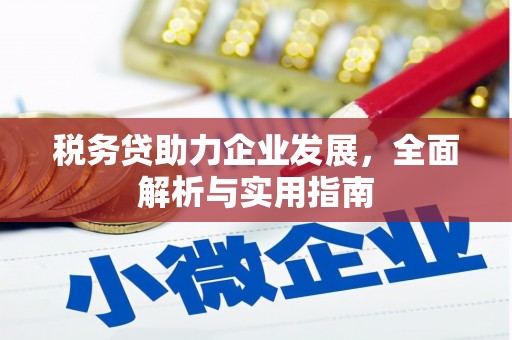 瓮安税务贷助力企业发展，全面解析与实用指南