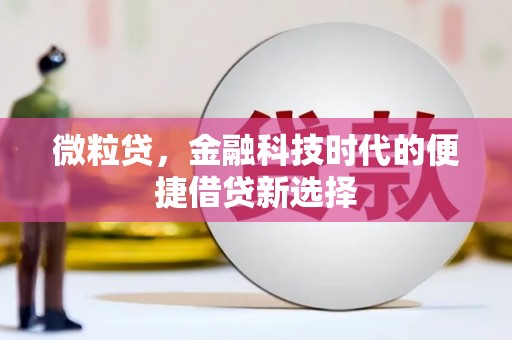 瓮安微粒贷，金融科技时代的便捷借贷新选择