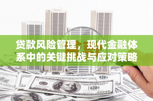 瓮安贷款风险管理，现代金融体系中的关键挑战与应对策略