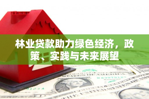 瓮安林业贷款助力绿色经济，政策、实践与未来展望