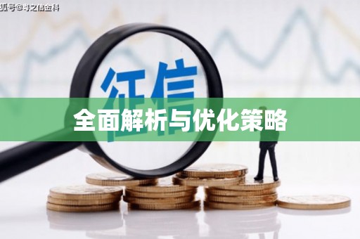 瓮安全面解析与优化策略